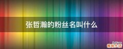 张哲瀚的粉丝名叫什么