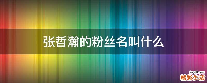张哲瀚的粉丝名叫什么