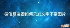 微信朋友圈如何只发文字不带图片