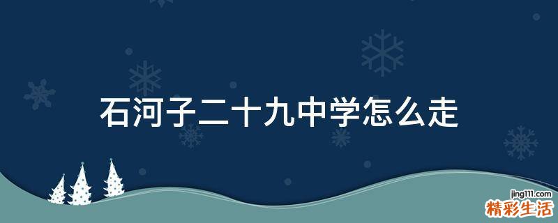 石河子二十九中学怎么走