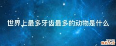 世界上最多牙齿最多的动物是什么