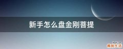 新手怎么盘金刚菩提