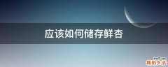 应该如何储存鲜杏