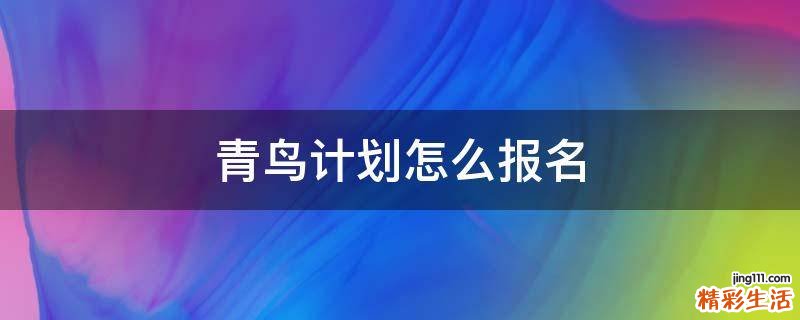 青鸟计划怎么报名