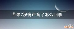 苹果7没有声音了怎么回事
