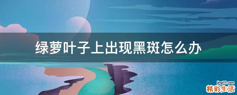 绿萝叶子上出现黑斑怎么办