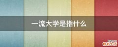 一流大学是指什么