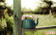 杨贵妃独爱蜂蜜面膜DIY轻松搞定