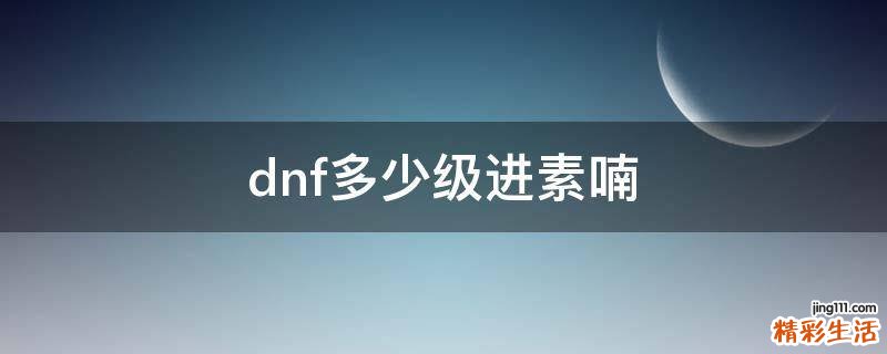 dnf多少级进素喃