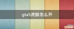 gta5虎鲸怎么开