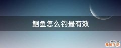 鮰鱼怎么钓最有效