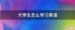 大学生怎么学习英语