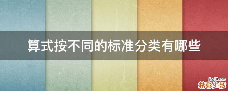 算式按不同的标准分类有哪些