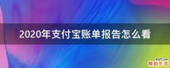 2020年支付宝账单报告怎么看
