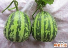 甜瓜不能和什么一起吃