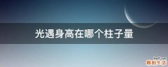光遇身高在哪个柱子量