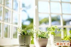 5 女士美容教程 解密护肤品使用秘密