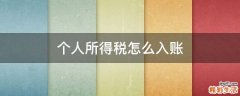 个人所得税怎么入账