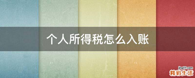 个人所得税怎么入账