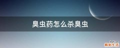 臭虫药怎么杀臭虫
