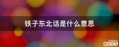铁子东北话是什么意思