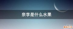 奈李是什么水果