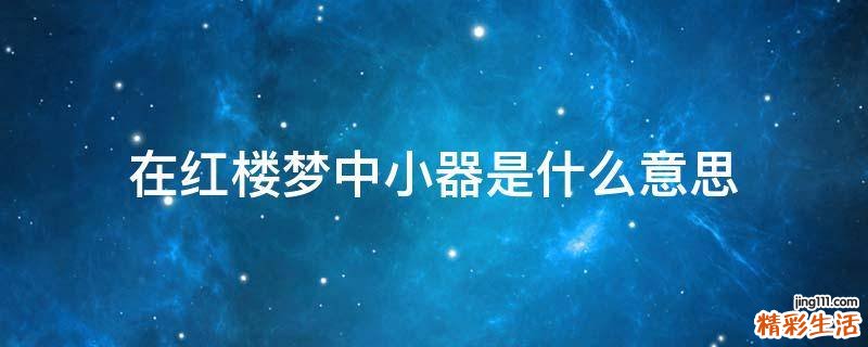 在红楼梦中小器是什么意思
