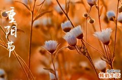206句 重阳节祝福语文案
