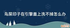 鸟屎印子在引擎盖上洗不掉怎么办