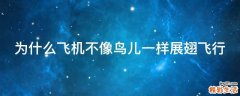 为什么飞机不像鸟儿一样展翅飞行