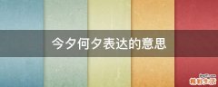 今夕何夕表达的意思