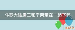斗罗大陆唐三和宁荣荣在一起了吗