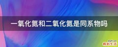 一氧化氮和二氧化氮是同系物吗