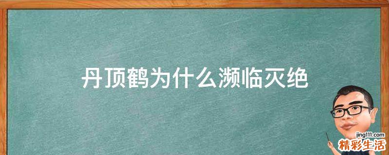 丹顶鹤为什么濒临灭绝