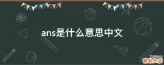 ans是什么意思中文