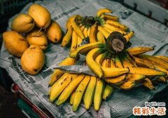 香蕉不熟能吃吗 香蕉不熟吃了会怎么样