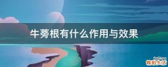 牛蒡根有什么作用与效果