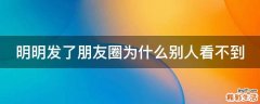 明明发了朋友圈为什么别人看不到