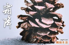 霜降吉祥寓意是什么