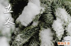 冬天第一场雪的句子简短