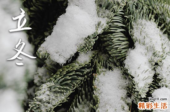 冬天第一场雪的句子简短
