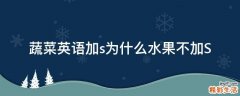 蔬菜英语加s为什么水果不加S