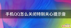 手机QQ怎么关闭特别关心提示音
