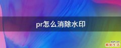 pr怎么消除水印