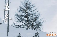 冬天下雪唯美句子说说