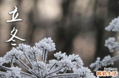 冬天下雪唯美句子大全