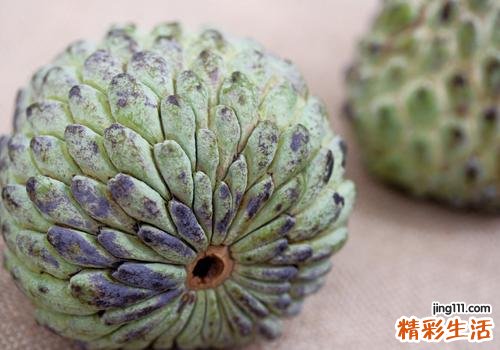 释迦果怎么判断熟没熟 教你如何一眼就能看出
