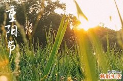 重阳节属于什么节日