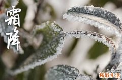 霜降时节养生小知识
