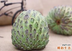 释迦果什么季节成熟 释迦果什么时候可以吃